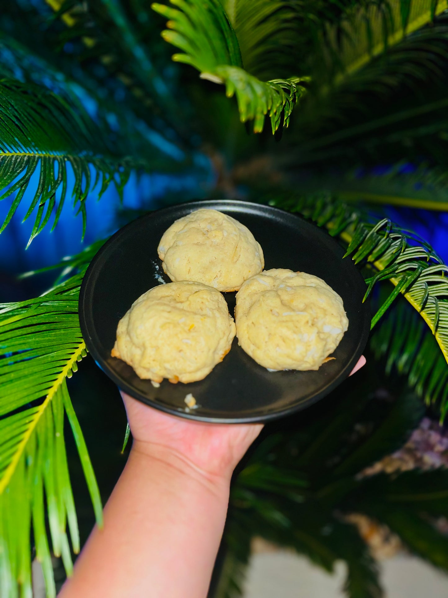 Lemon and Coconut Cookies