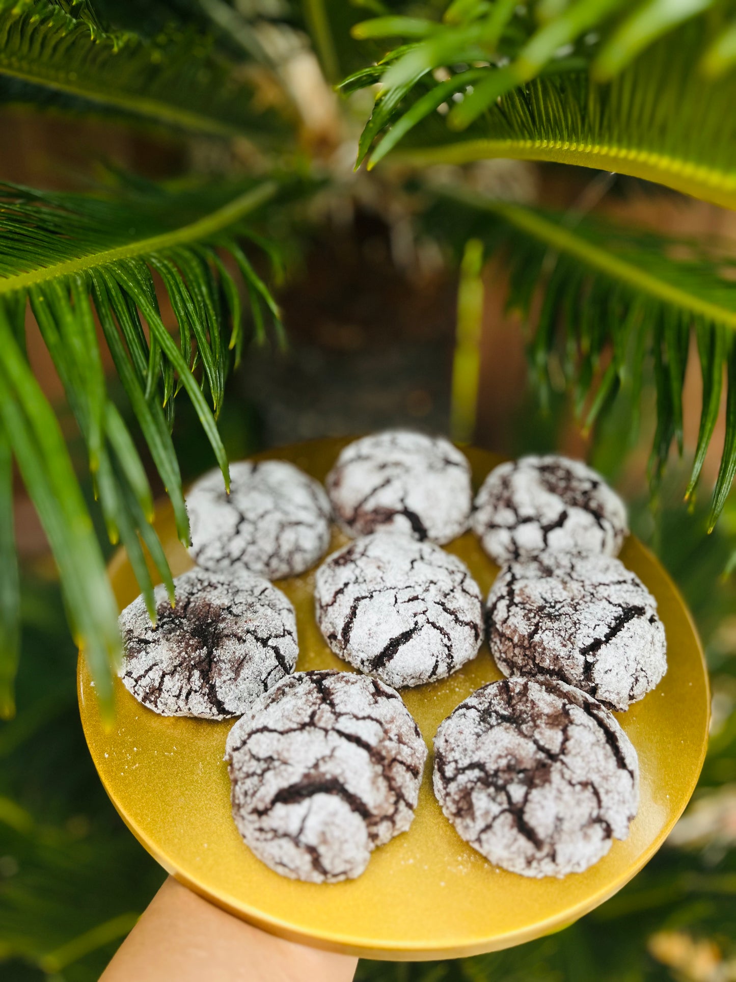 Chocolate Crinkle